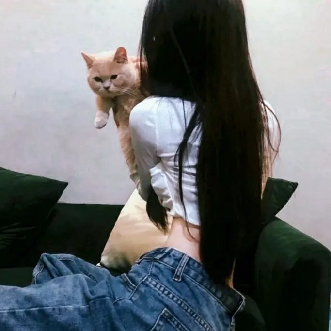 女子推理社第二季 封面