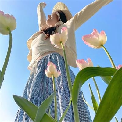 中央公园第三季 封面